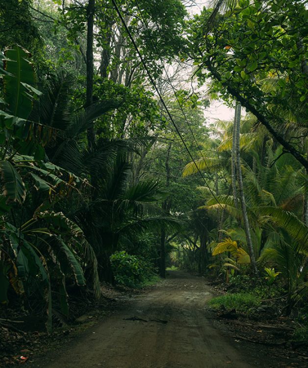 CostaRica_2022_13122