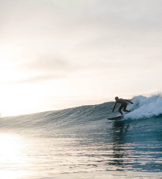 surf