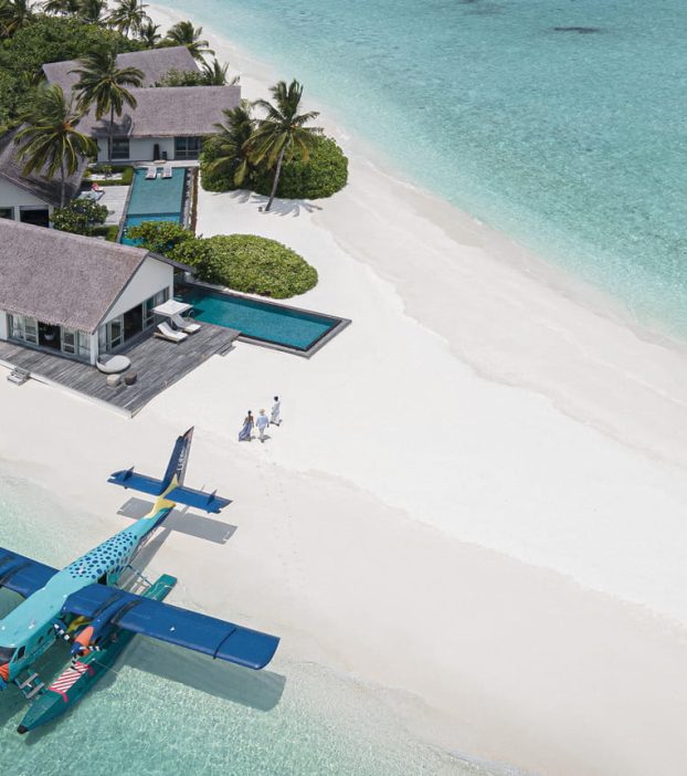 Flying Trigger Fish Arrival