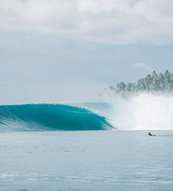 Mentawai_NIC2262 Grande
