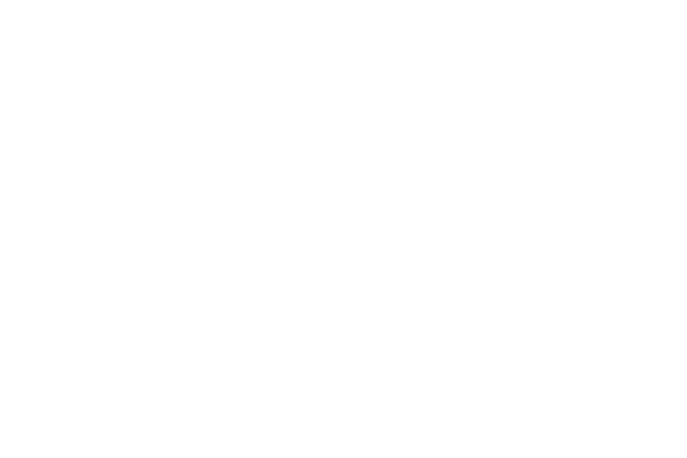 surfer